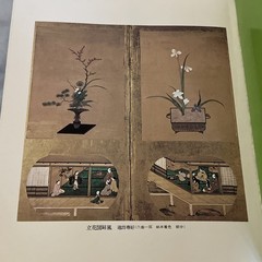 Flower materials and ikebana (Shinchosha) Paperback