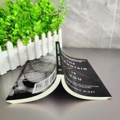 the Mountain Is You: Transforming Self-sabotage into Self-mastery English Books