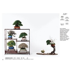 50th Gafuten Bonsai Exhibition Book Shohin Tree Pot Display Photo Book 10.1in