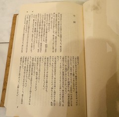 Nobel Prize Winners Yasunari Kawabata Kenzaburo Oe 2 Books Box Set Japan