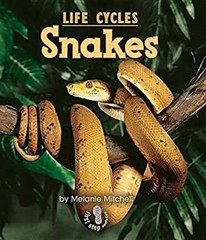 Snakes Paperback Melanie Mitchell