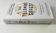 The Telomere Effect Elizabeth Blackburn Nobel Prize Aging Genetics 1st Ed HC