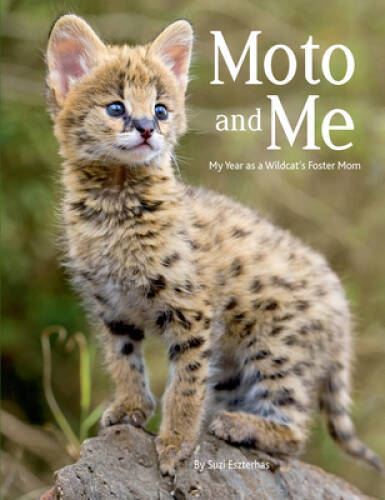 Moto and Me: My Year as a Wildcats Foster Mom – Paperback – GOOD