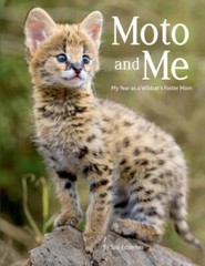 Moto and Me: My Year as a Wildcats Foster Mom – Paperback – GOOD