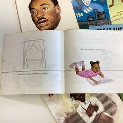 African American Black History Children’s Random Stories Classroom 20 Book Lot