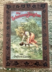 1910s Antique German Fairy Tale Book Die Schwanen Jungfrau by Gustav Nieritz VG