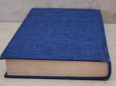 Great Spanish Stories by Angel Flores (editor) – Modern Library