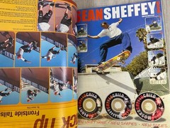 Transworld Skateboarding Magazine Volume 17 #12 December 1999 Australia OZ Fest