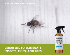 Peppermint Oil Spray for Bugs, Ants, Insects, Spiders, Roaches, Stink Bug. Pesti