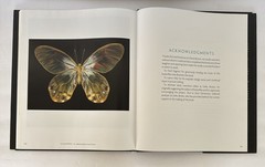 One Hundred Butterflies Hardcover Book by Harold Feinstein Dust Cover Color Pics