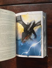 Onyx Storm Collector’s Edition Illustrated Hardcover Novel by Rebecca Yarros