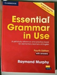Essential Grammar in Use With Answers A Self-study Reference and Practice 4th Ed