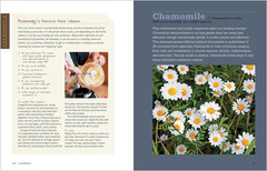 Rosemary Gladstar’s Medicinal Herbs: A Beginner’s Guide: 33 Healing Herbs to Kno