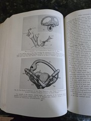 The Practitioners Library of Medicine and Surgery 1937 Eye, Ear, Nose, & Throat