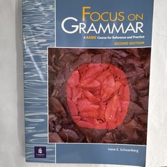 Focus on Grammar: A Basic Course for Reference and Practice 2nd Ed Schoenberg