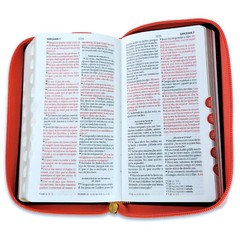 Biblia Chequera Letra 8.5 puntos RV1960 imit piel coral y beige con indice
