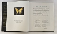 One Hundred Butterflies Hardcover Book by Harold Feinstein Dust Cover Color Pics