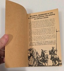 WIZARDS WARRIORS & YOU BOOK 6 REVENGE OF THE FALCON KNIGHT 1985 CYOA RPG Role