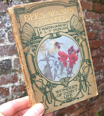 1917 Bees Wasps and Ants- Duncan Natural History