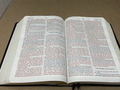 The Expositor’s Study Bible KJV Jimmy Swaggart 2005 Black Leather Concordance