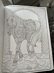 Cra-Z-art Timeless Creations Coloring Book, Wild at Heart, 64 pages