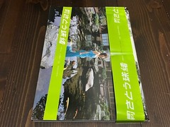 2004 1ST EDITION NOBUYOSHI ARAKI MONTHLY GEKKAN TAMAO SATO JAPANESE PHOTO BOOK