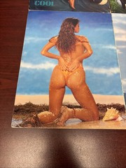 Playboy Lot Of 4- Girls of Summer, Bathing Beauties- 1989-1994