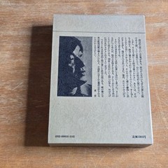 Shinchosha Saiichi Maruya Hardcover Japanese Novel Hardcover Book