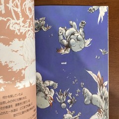 FLAT Range Murata Art Book Illustration