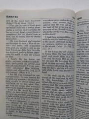 The Amplified Bible Giant Print Lockman Foundation Large Easy to Read AMP Bible