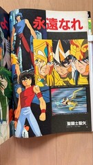 Animage Magazine May 1989 iue vol131 Maimu