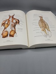 Stedman’s Medical Dictionary 25th Edition Illustrated Hardbound 1,784 Pages