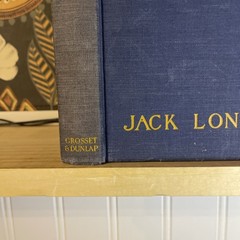 1904 The Sea-Wolf Jack London – Antique Early Reprint – Grosset & Dunlap
