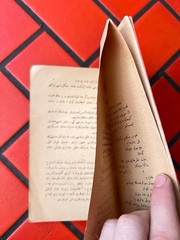 1924 Ottoman Turkish Book Gustave Le Bon Le Déséquilibre du Monde Looped Pages