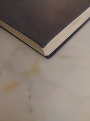 Australian Painting Book PB 1788 – 1990 Softcover Bernard Smith 592 Pages GC