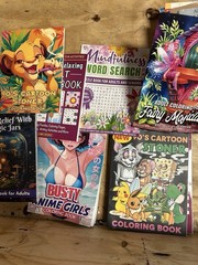 Lot of 10 RANDOM ADULT COLORING & ACTIVITY BOOKS Summer Cute Spooky Comfy Cozy