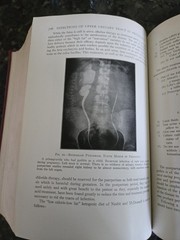 The Practitioners Library of Medicine and Surgery 1938 Supplement Index