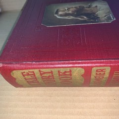 Egermeier’s Bible Story Book- Pictures and Maps: Warner Press, 1947