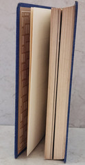Great Spanish Stories by Angel Flores (editor) – Modern Library