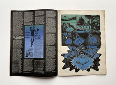 OZ MAGAZINE No.35. Brown pig cover variant. No “40p” printed on cover