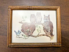 Framed Picture of Owl Family & a Bluebird 5.5 In by 6.5 In Wood Frame Vtg