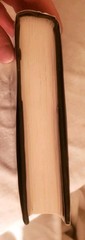 SIGNED* White Oleander Janet Fitch HB DJ 1ST ED