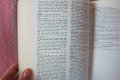 Vintage 1975 A Dictionary of American Idioms PB ~ Eagle With Plaid Cap And Pants