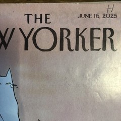 The New Yorker July 7 & 14 2025, The Economist, Business Traveler LOT magazines