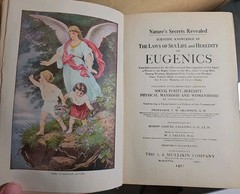 RARE BOOK Eugenics by T. W. Shannon 1916 1st. Good Original Copy 584 Pages