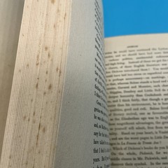 The Works Of George Moore. Avowals. Ebury Heinemann Edition 1936