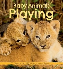Baby Animals Playing – VERY GOOD