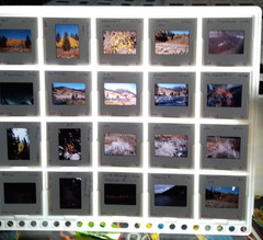 1000 Vintage Slides Nature Flower Mtns Trees Lakes 2 x 2 In 50 Holders 1960-1970