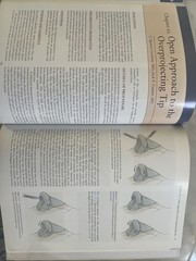 Aesthetic Head and Neck Surgery by Thomas A. Mustoe and Samuel J. Lin