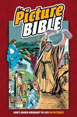 THE PICTURE BIBLE Gods Word Brought To Life – Illustrated Kids Beginner IVA HOTH